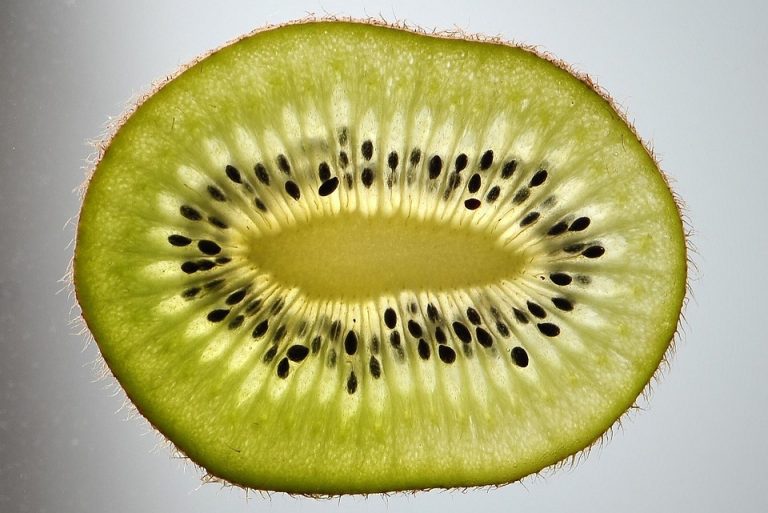 Sliced kiwi fruit showing seeds and green texture.