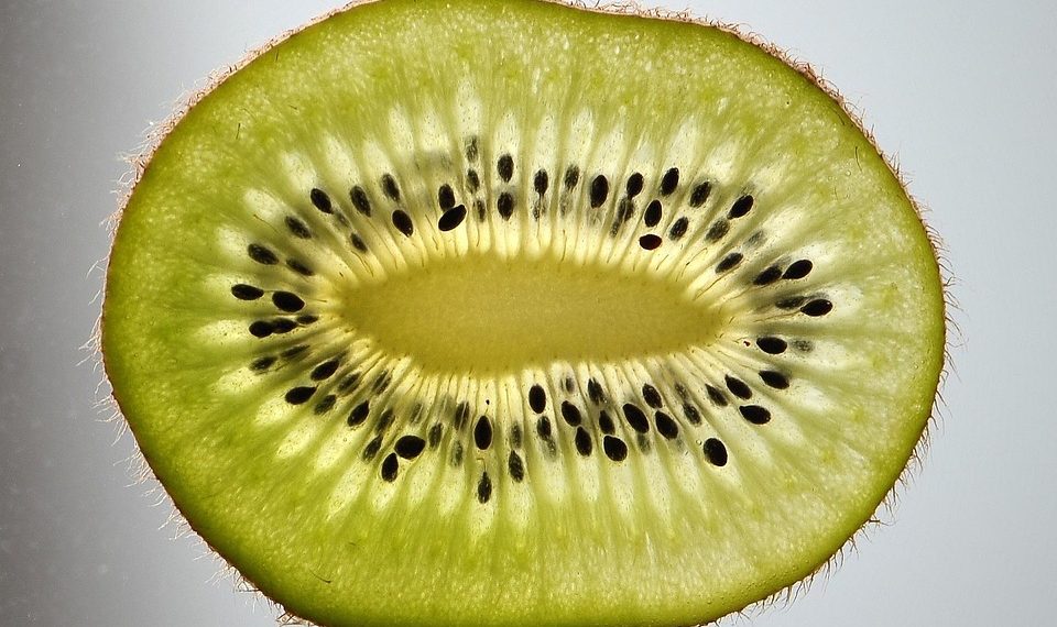 Sliced kiwi fruit showing seeds and green texture.