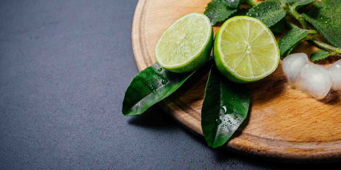 Lime slices on a wooden board with mint and ice cubes.