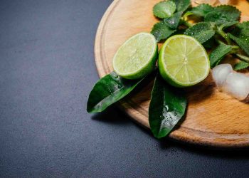 Lime slices on a wooden board with mint and ice cubes.