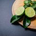 Lime slices on a wooden board with mint and ice cubes.