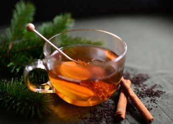 Warm herbal tea with cinnamon sticks and pine branches.