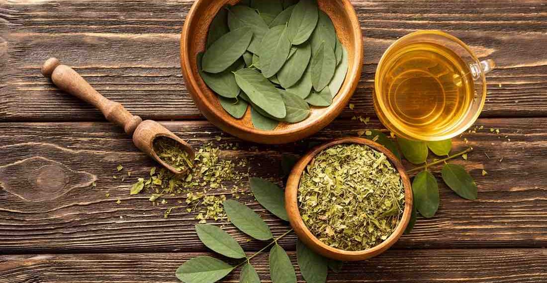 Dried and fresh moringa leaves with a cup of moringa tea.