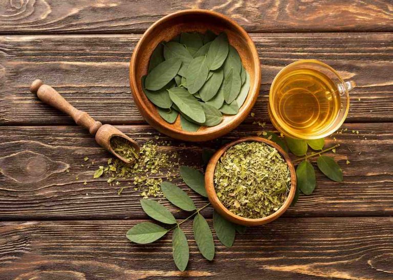 Dried and fresh moringa leaves with a cup of moringa tea.