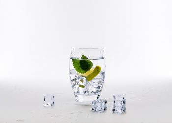 Glass of water with lemon, mint, and ice cubes on a white background.