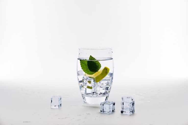 Glass of water with lemon, mint, and ice cubes on a white background.