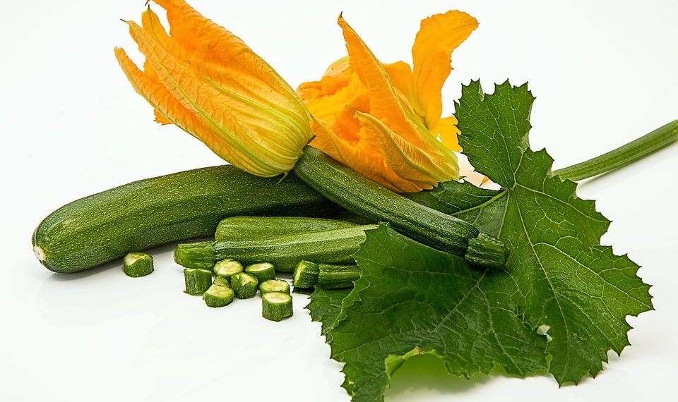 Zucchini with yellow blossoms and large green leaves.