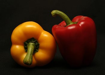 Yellow and red bell peppers on a black background.
