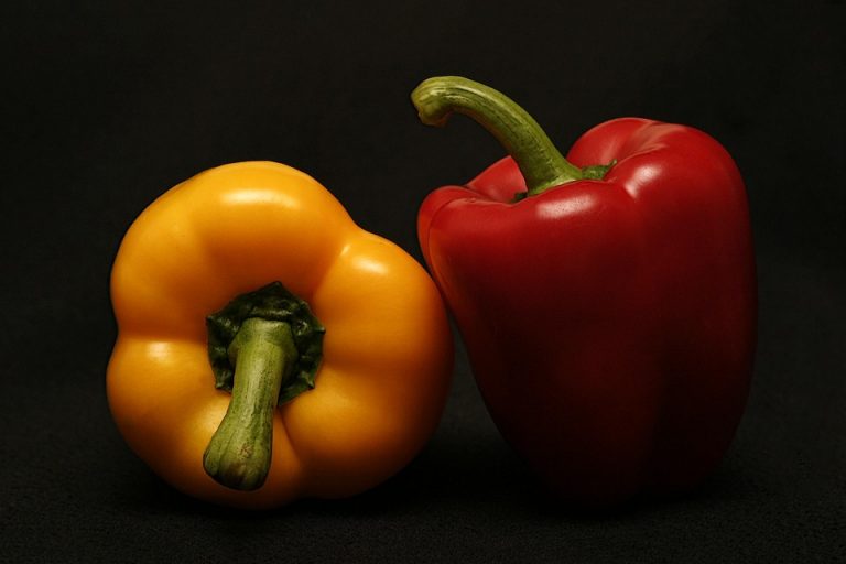 Yellow and red bell peppers on a black background.