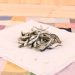 Dried small fish on a pastel tablecloth, ready for cooking.