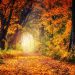 Autumn path surrounded by vibrant fall foliage {focus_keyword}