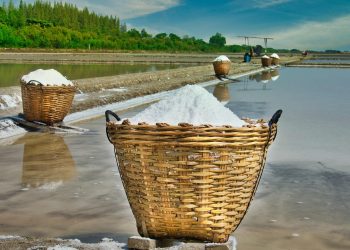 Basket of harvested salt in a field.