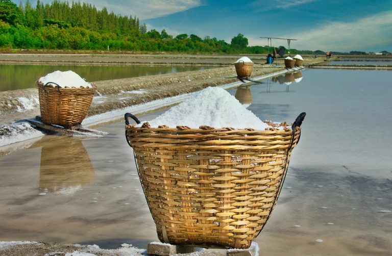 Basket of harvested salt in a field.