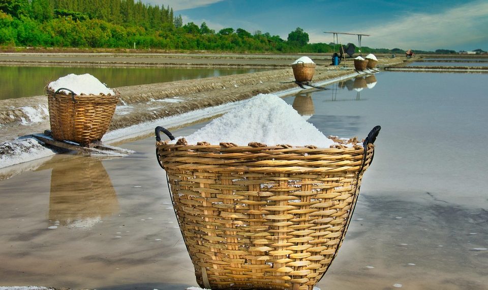 Basket of harvested salt in a field.
