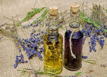Two glass bottles of lavender essential oil on burlap with lavender sprigs.
