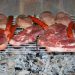Grilling assorted meats over hot coals.