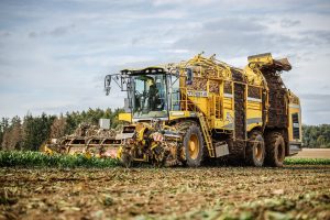 Yellow harvester processing a field of crops.