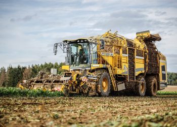 Yellow harvester processing a field of crops.