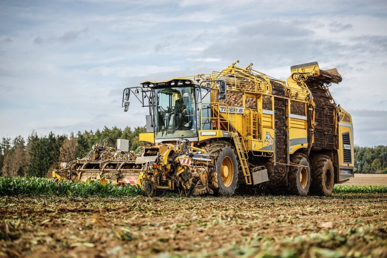 Yellow harvester processing a field of crops.