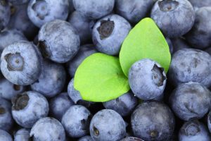 Blueberries with fresh green leaves.
