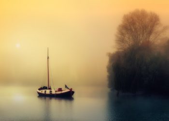 Sailboat on misty lake at sunrise near trees.