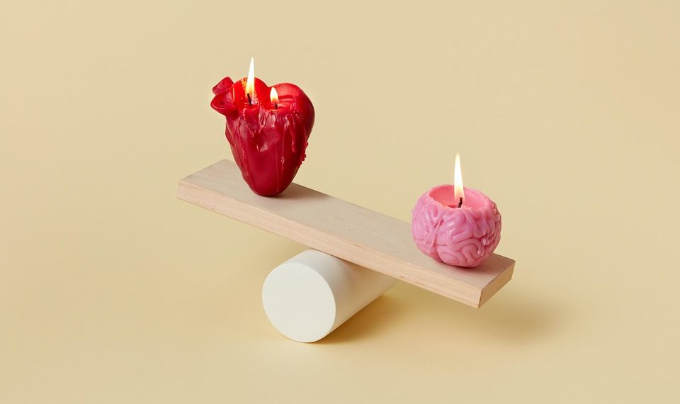 Heart and brain candles balancing on a wooden plank.