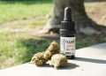 Delta 8 THC oil bottle with hemp buds outdoors.