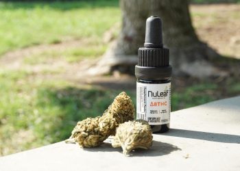 Delta 8 THC oil bottle with hemp buds outdoors.
