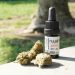 Delta 8 THC oil bottle with hemp buds outdoors.