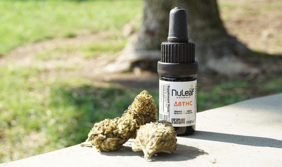 Delta 8 THC oil bottle with hemp buds outdoors.