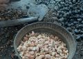 Unshelled cashews being processed manually on a flat surface.