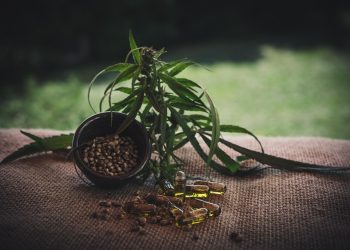 Hemp leaves and seeds with CBD oil capsules on burlap.