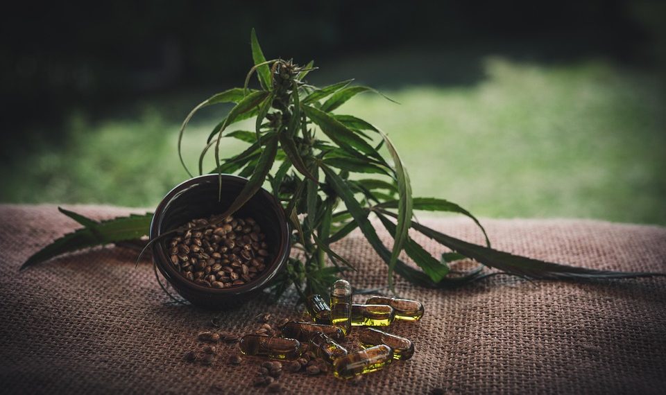 Hemp leaves and seeds with CBD oil capsules on burlap.