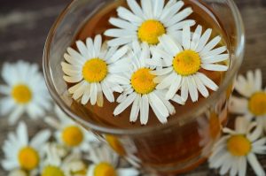 Chamomile flowers floating in herbal tea.
