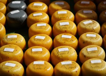 Assorted round cheeses displayed at a market with labels.