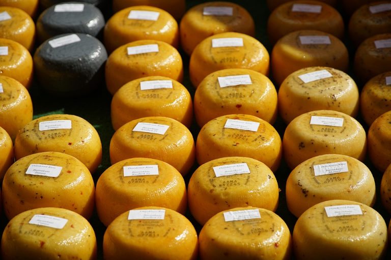 Assorted round cheeses displayed at a market with labels.