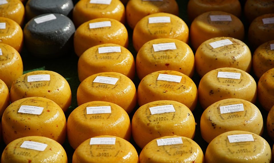 Assorted round cheeses displayed at a market with labels.