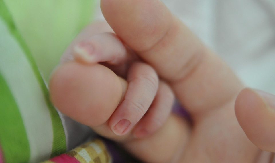 Adult holding a baby's hand gently.
