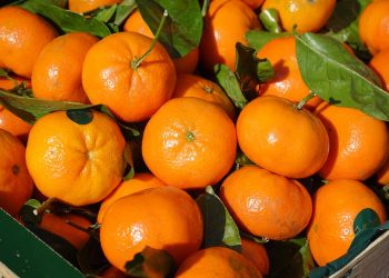 Fresh oranges with green leaves in a box.