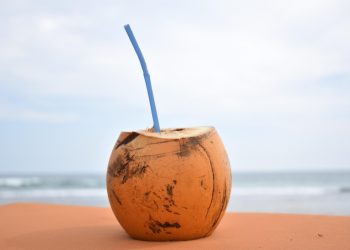 Fresh coconut with straw on sandy beach against ocean backdrop.