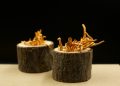 Two wooden containers with cordyceps mushrooms.