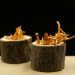 Two wooden containers with cordyceps mushrooms.