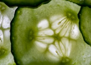 Close-up of fresh cucumber slice with seeds visible.