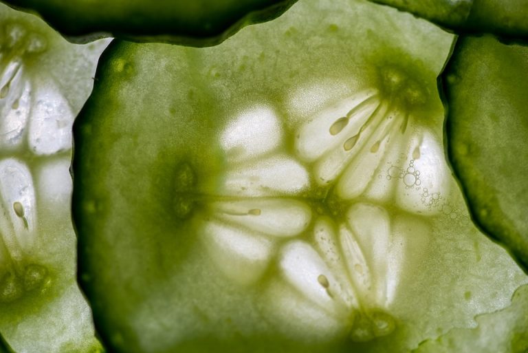 Close-up of fresh cucumber slice with seeds visible.