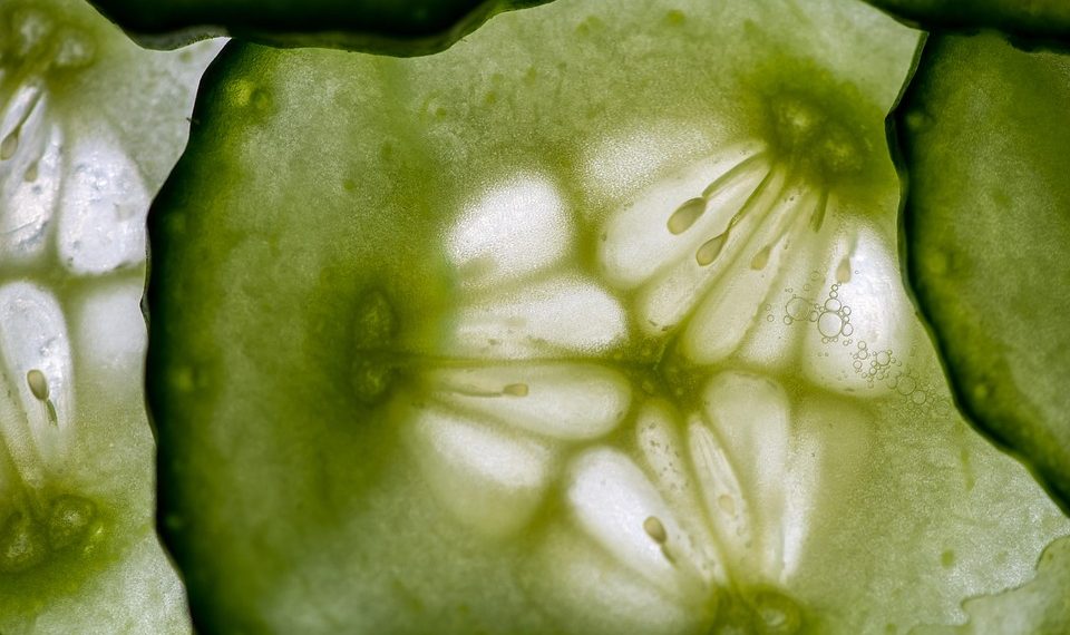 Close-up of fresh cucumber slice with seeds visible.
