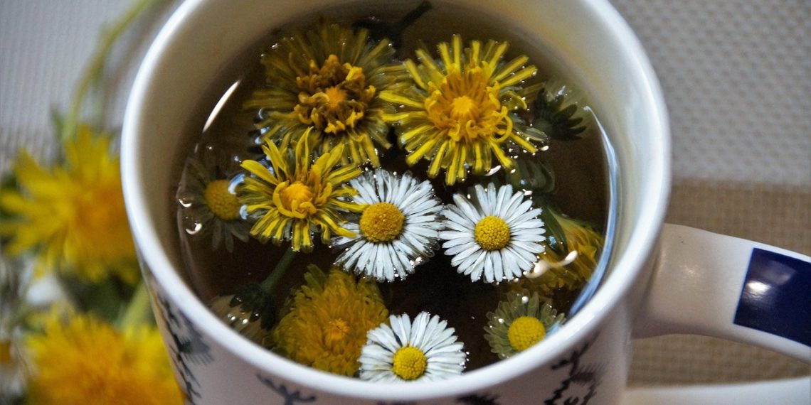 Dandelion tea with fresh flowers in a patterned mug.