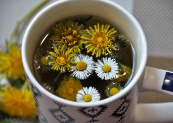 Dandelion tea with fresh flowers in a patterned mug.