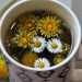 Dandelion tea with fresh flowers in a patterned mug.