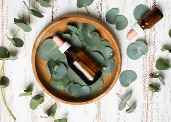 Eucalyptus essential oil bottle on eucalyptus leaves.