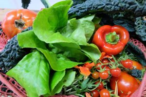 Fresh vegetables including tomatoes, kale, and red bell pepper in a basket.